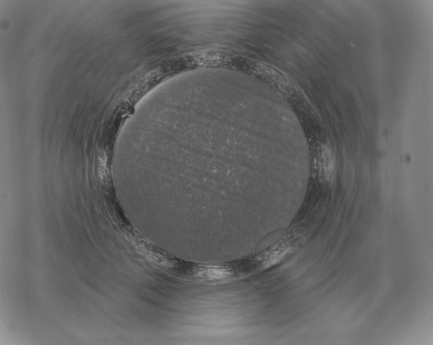 X0000069380610200606091653