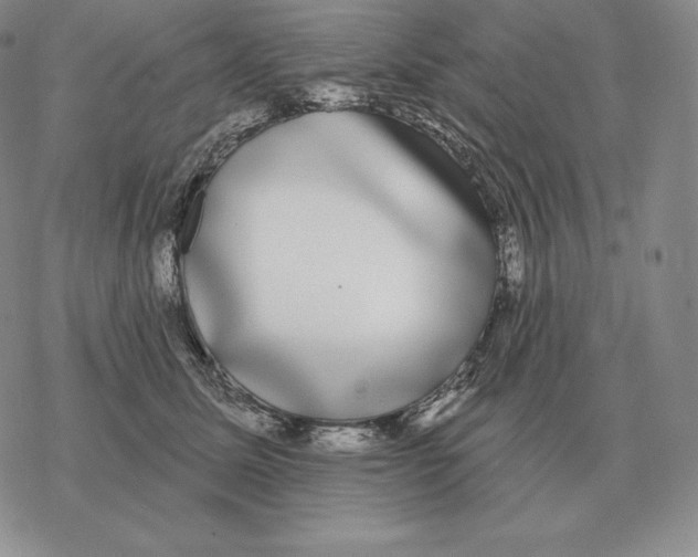 X0000069380611200606091653