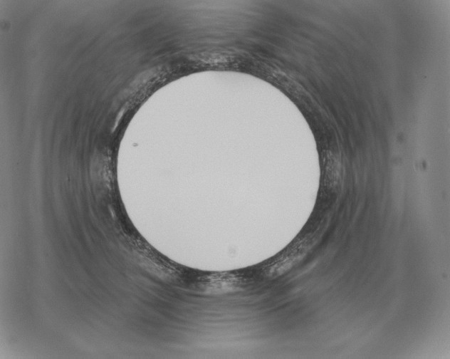 X0000069380612200606091652