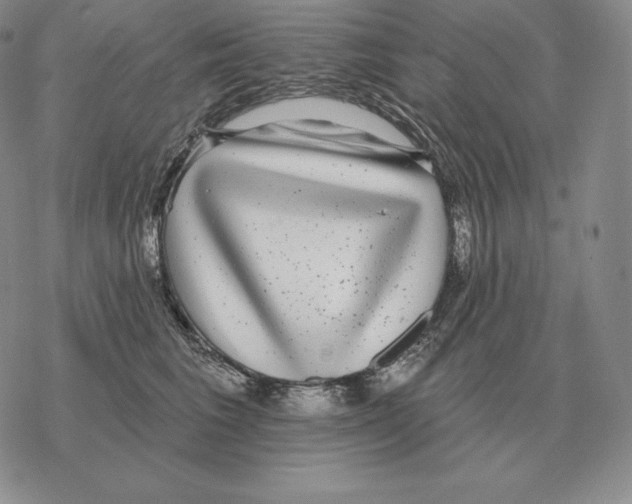 X0000069380613200606091652