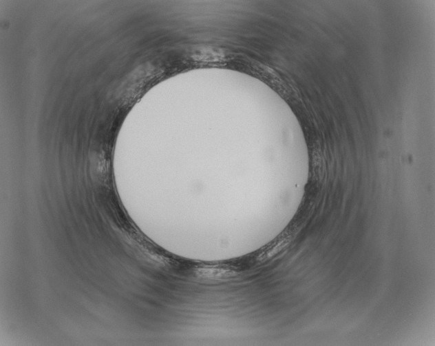 X0000069380614200606091652