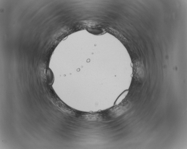 X0000069380615200606091652