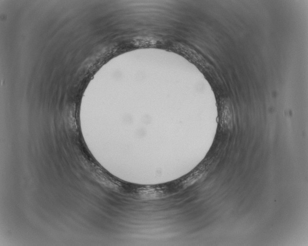 X0000069380616200606091652