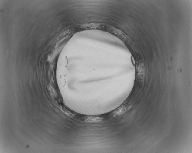 X0000069380617200606091652