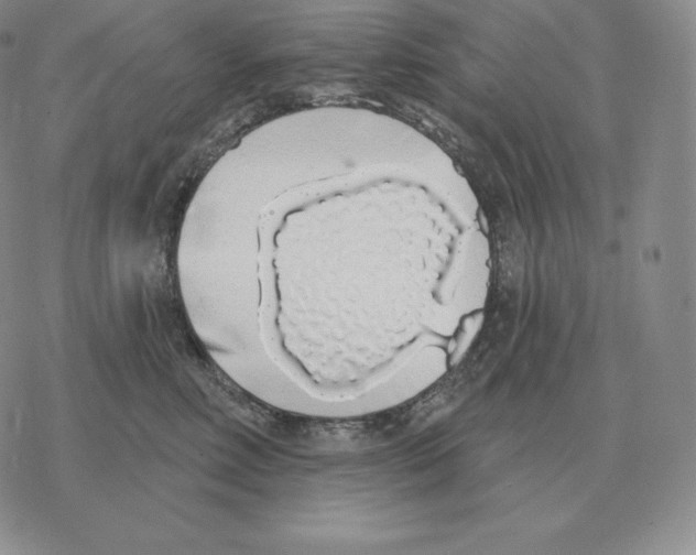 X0000069380618200606091652