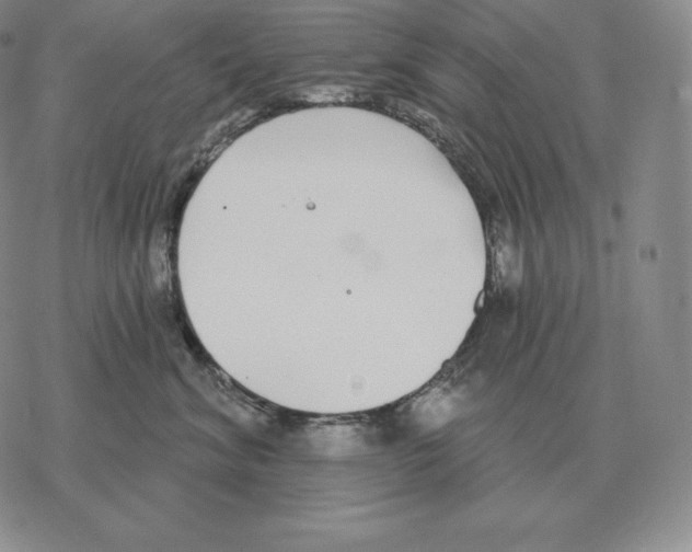 X0000069380620200606091652