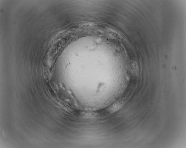 X0000069380621200606091652