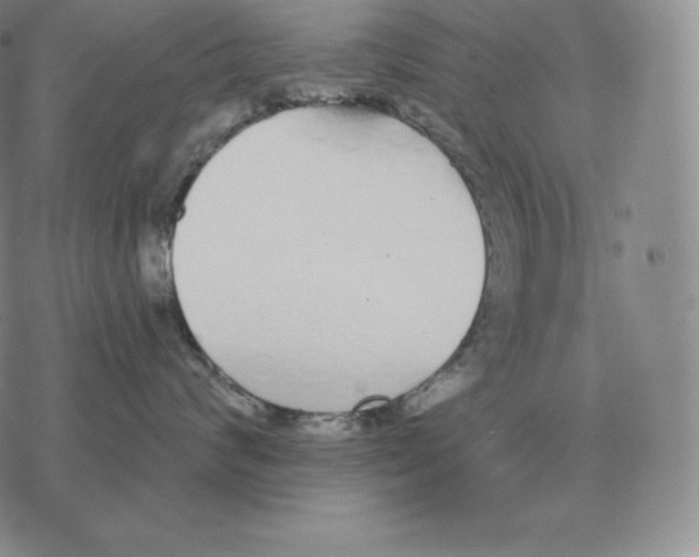 X0000069380624200606091652