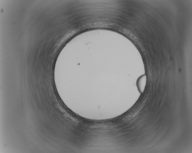 X0000069380625200606091652