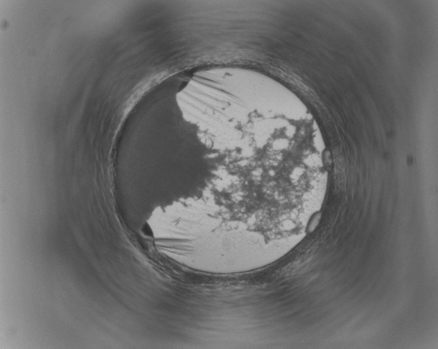 X0000069380626200606091652