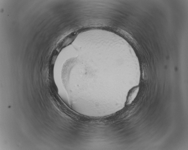 X0000069380627200606091652