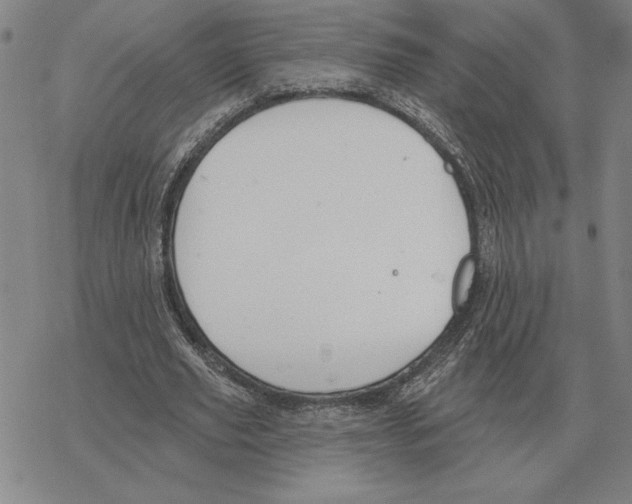 X0000069380629200606091652