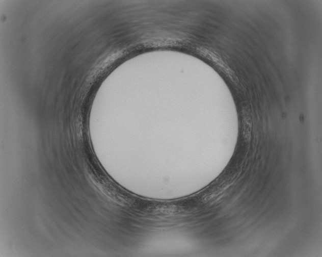 X0000069380631200606091652