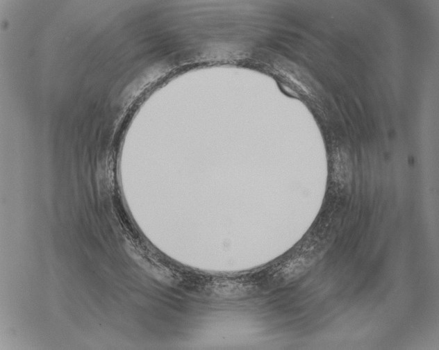 X0000069380632200606091652