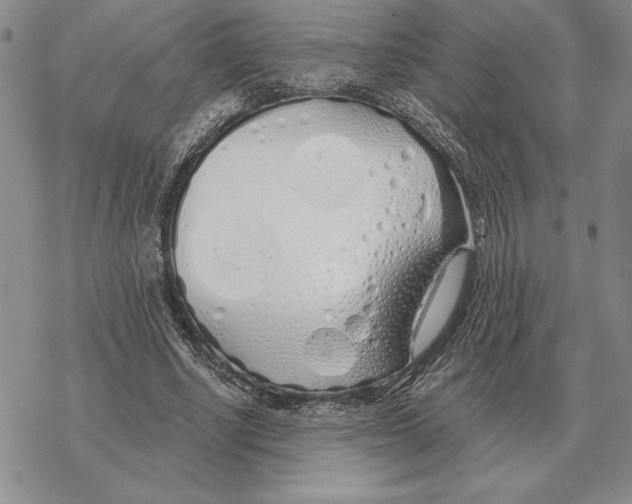 X0000069380634200606091652