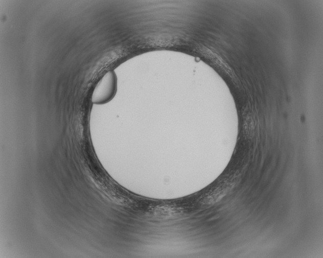 X0000069380635200606091652