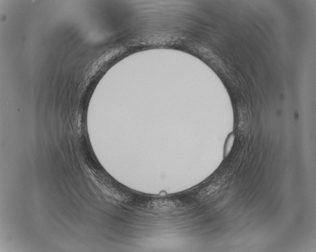 X0000069380636200606091652