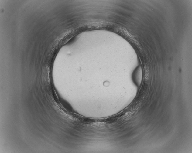 X0000069380637200606091652