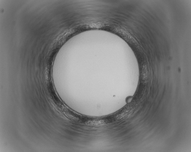 X0000069380639200606091652