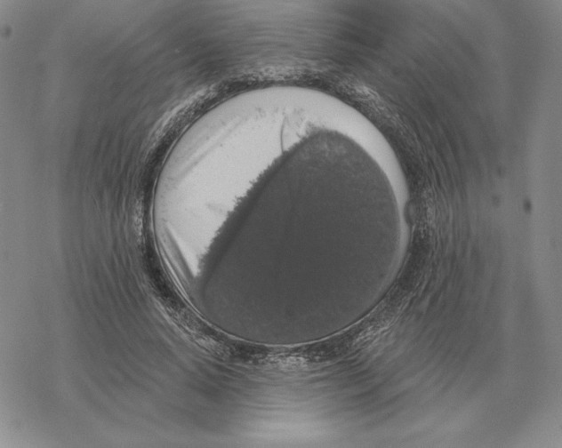 X0000069380640200606091652