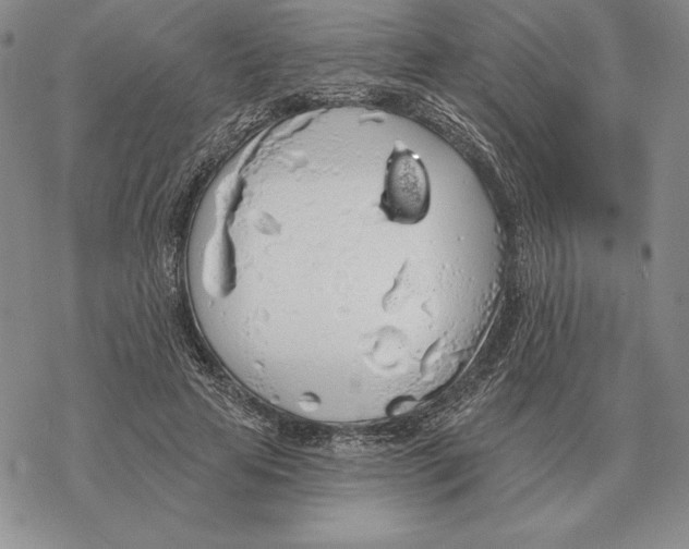 X0000069380641200606091652