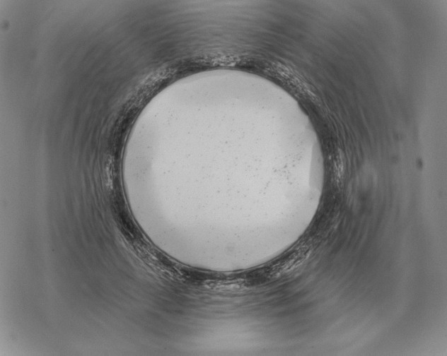 X0000069380643200606091652