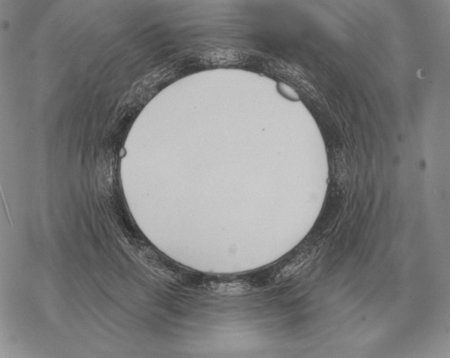 X0000069380645200606091652