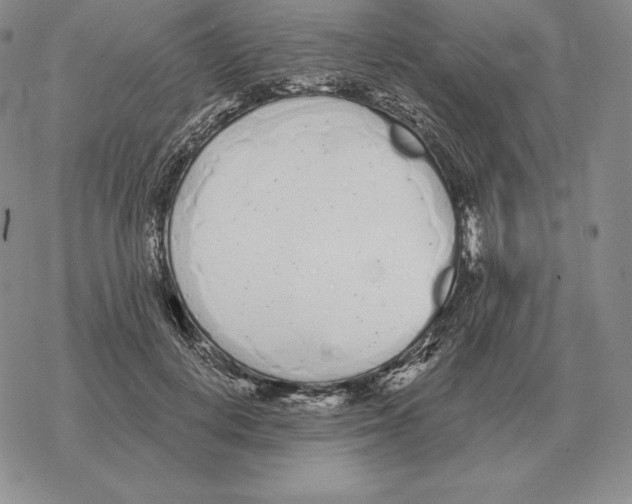 X0000069380648200606091652