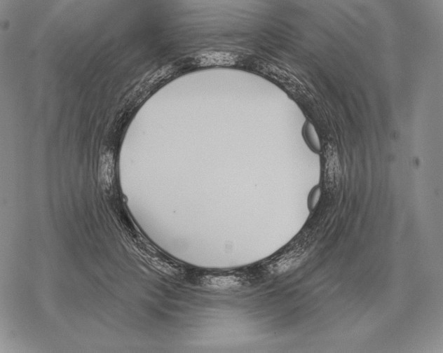 X0000069380649200606091652