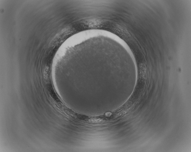 X0000069380650200606091652