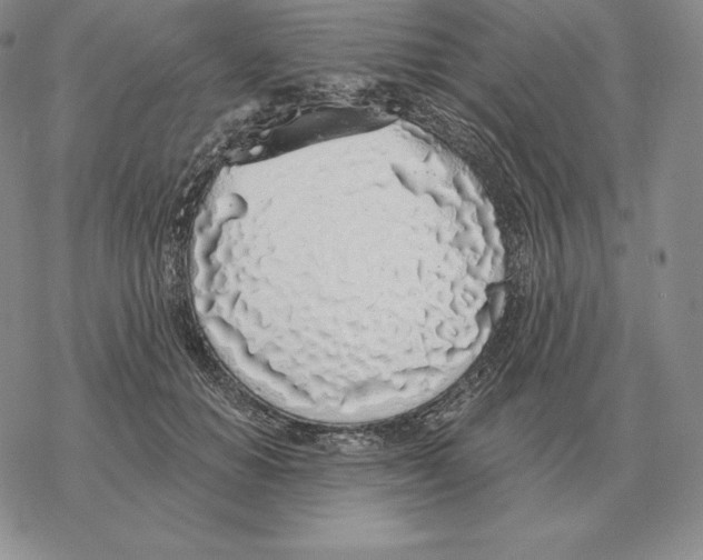 X0000069380654200606091652