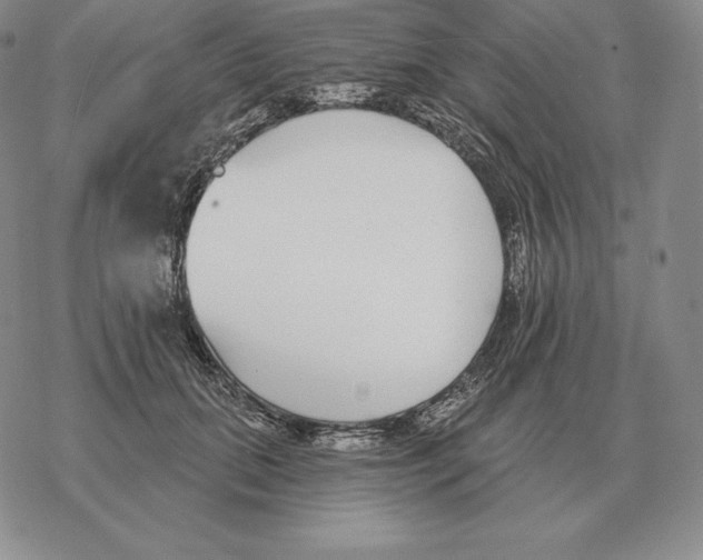 X0000069380655200606091652