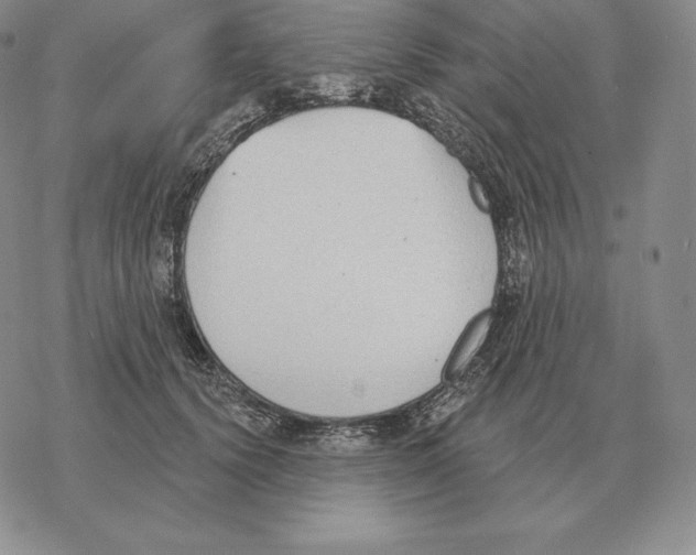 X0000069380656200606091652