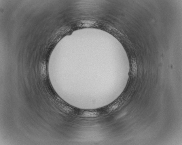 X0000069380657200606091652