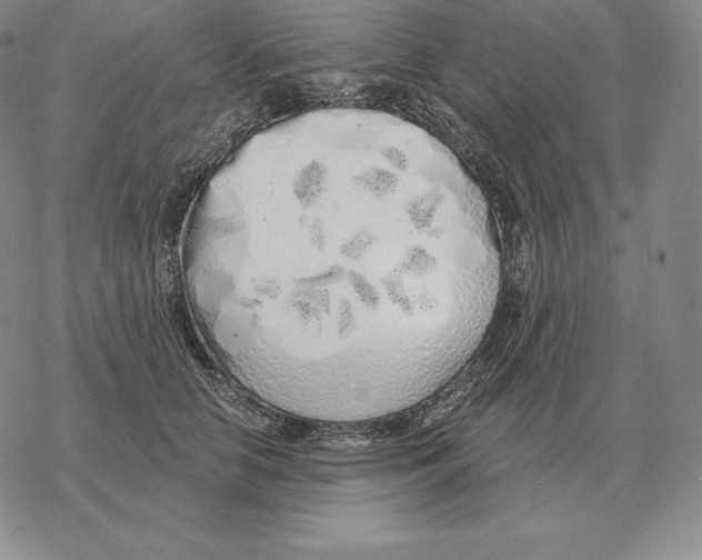 X0000069380658200606091652