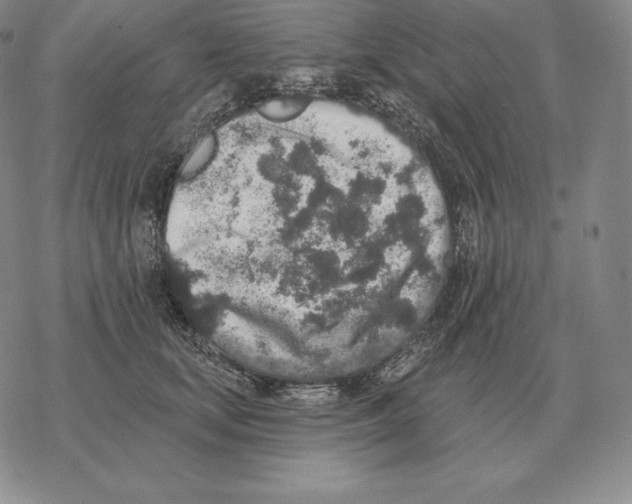 X0000069380659200606091652