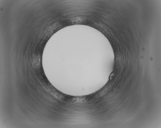 X0000069380660200606091652