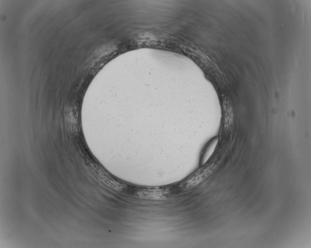 X0000069380661200606091652