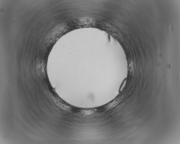 X0000069380662200606091652