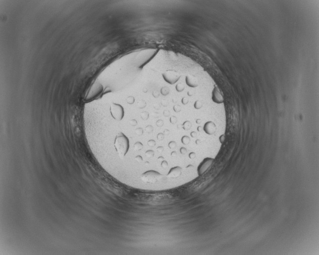 X0000069380663200606091652