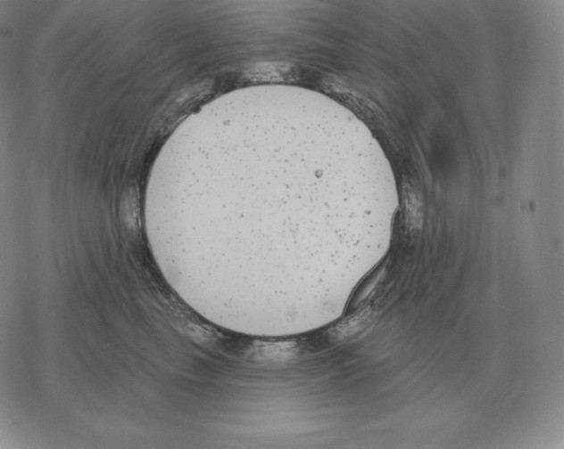 X0000069380665200606091652