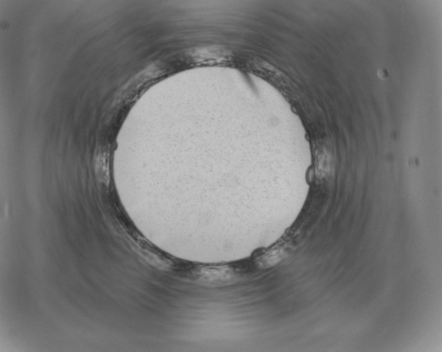 X0000069380666200606091652