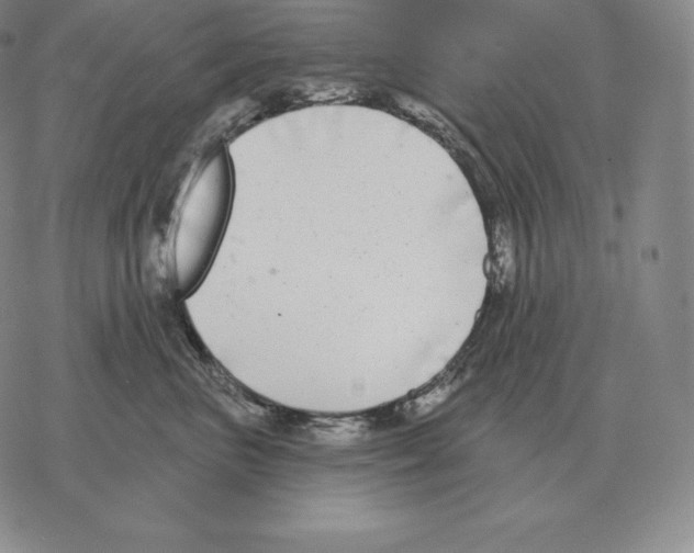 X0000069380667200606091652