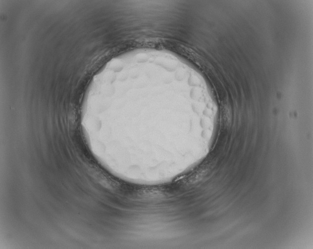 X0000069380668200606091652