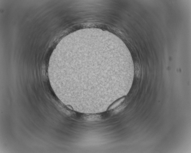 X0000069380670200606091652