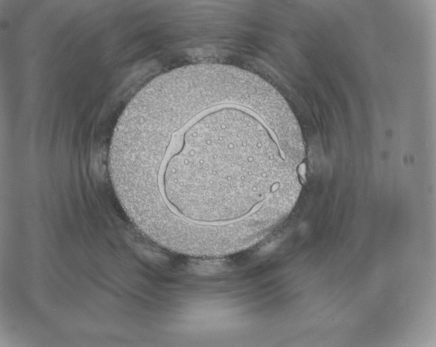 X0000069380671200606091652