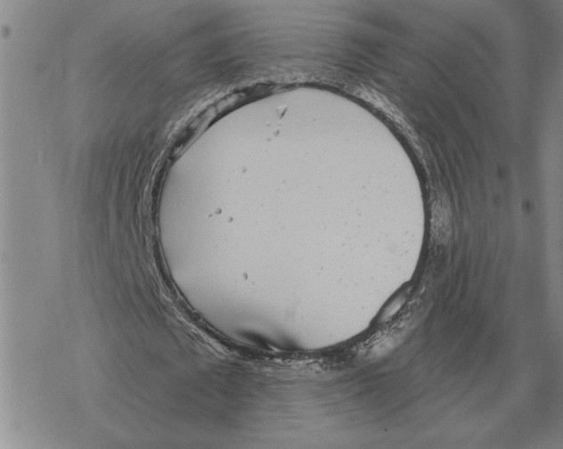 X0000069380673200606091652