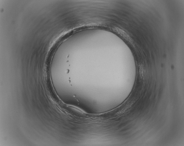 X0000069380676200606091651