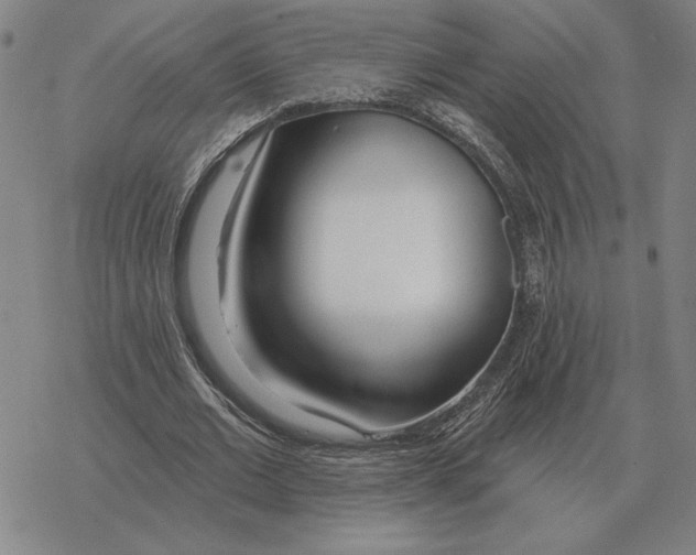 X0000069380677200606091651