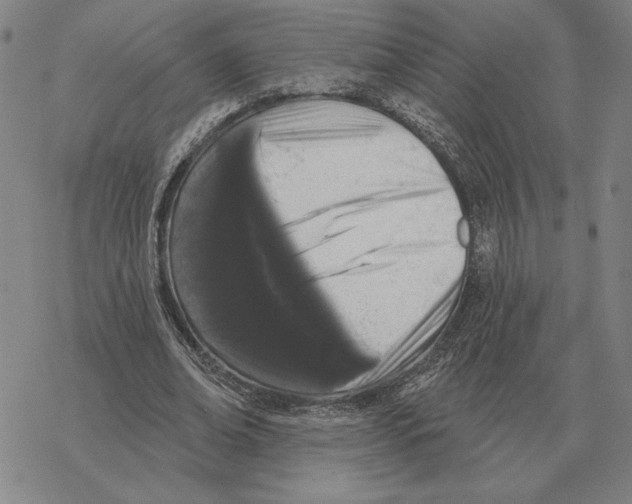 X0000069380678200606091651